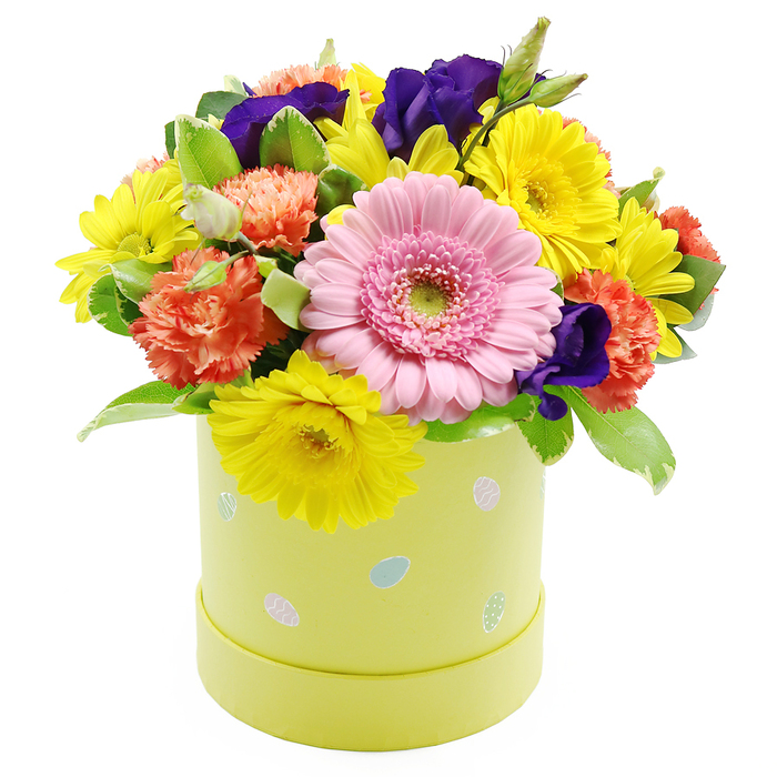 A charming Easter floral hatbox is displayed against a clear white background, its vibrant spring colours and playful details evoking the gentle energy of Erith in bloom. The arrangement is built in a cylindrical pastel lime-yellow hatbox, whose sides are scattered with petite pastel Easter egg designs in soft blue, pink, and white, some subtly ornamented with dots and stripes that feel both cheerful and refined. From this neat container, a full, rounded bouquet rises, its dome shape carefully composed to appear generous without losing its tidy outline. At the visual centre lies a large, light pink gerbera daisy, its many narrow petals radiating evenly around a light green eye, giving the piece an approachable, friendly expression. Surrounding the gerbera, bright yellow chrysanthemums open wide, each one a little burst of sunshine that seems to echo the brightness of a clear day along Erith's riverfront. Tucked in among them, coral-orange carnations add layers of ruffled texture, their soft petals curling inwards and outwards in intricate folds, while deeper violet-purple lisianthus bloom between the warmer tones, bringing a velvety richness that grounds the composition. The flowers are supported by fresh green foliage of varying shapes and shades, with some leaves edged in pale variegation, adding subtle highlights and enhancing the natural, garden-like character of the design. The overall mood is light-hearted and festive, as if the arrangement were ready to be placed on an Easter brunch table in a home near Riverside Gardens or sent as a same-day delivery surprise to a friend in Erith. It captures both the excitement of seasonal celebration and the comforting familiarity of flowers chosen with care by a local florist.
